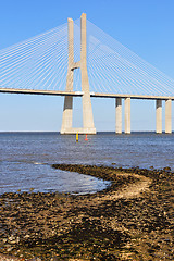 Image showing Vasco da Gama Bridge