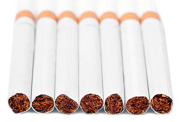 Image showing Group of Cigarettes