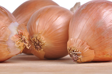 Image showing Onions