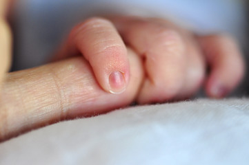 Image showing Baby Holding Parent's Finger