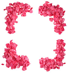 Image showing Rose Petal Frame