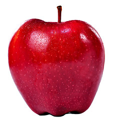 Image showing Red Apple