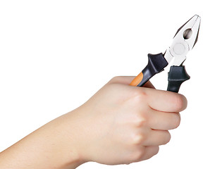 Image showing Hand Holding Pliers