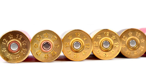 Image showing Shotgun Shells