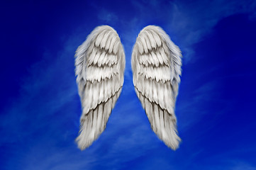 Image showing Angel Wings