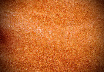 Image showing Leather Texture