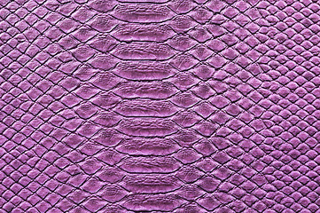 Image showing Crocodile Skin