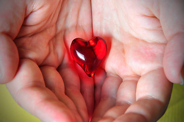 Image showing Heart in hands