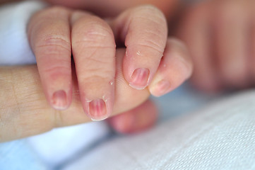 Image showing Baby Holding Parent's Finger