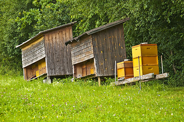 Image showing bee hives