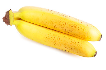 Image showing Mature Bananas