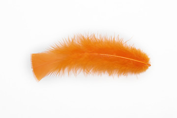 Image showing orange feather