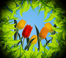 Image showing tulips view from inside the hole