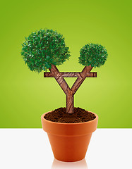 Image showing Money tree 