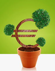 Image showing Money tree 