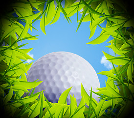 Image showing Golf ball hole