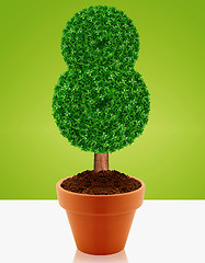 Image showing Small green tree