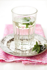 Image showing Mint tea