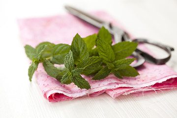 Image showing Mint leaves