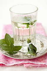 Image showing Mint tea