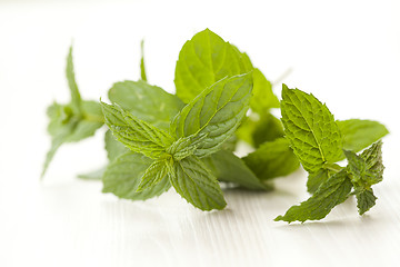 Image showing Mint leaves