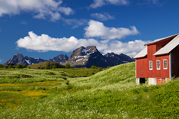 Image showing Panorama on Lofoten islands