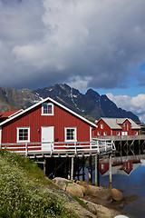 Image showing Red fishing huts on Lofoten