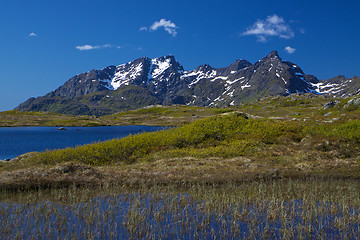 Image showing Lofoten mountains