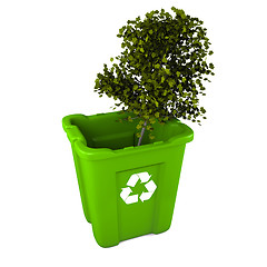 Image showing Tree in recycle bin