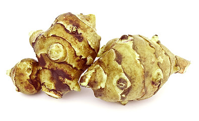 Image showing Jerusalem artichoke