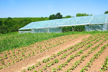 Image showing Infrastructure of rural farm