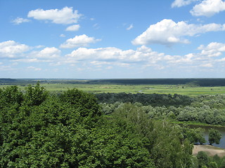 Image showing summer landscape