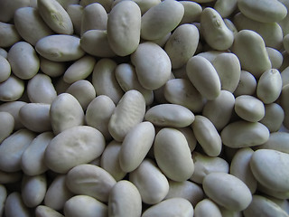 Image showing Beans Macro