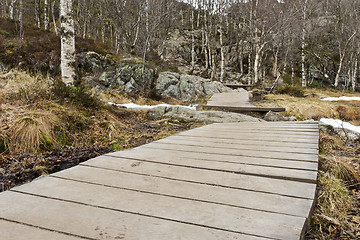 Image showing wooden foot path in rural landscape