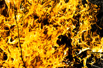 Image showing Flame