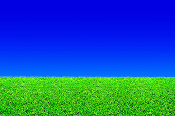 Image showing Green grass