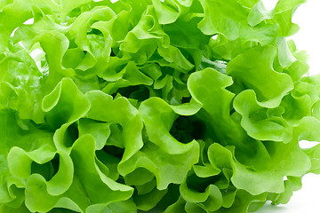 Image showing Lettuce