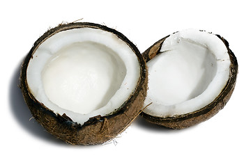 Image showing Fresh coconut