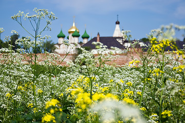 Image showing Summer field