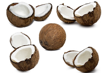 Image showing Coconuts 