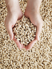 Image showing Wood pellets