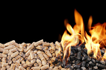 Image showing Wood Pellets