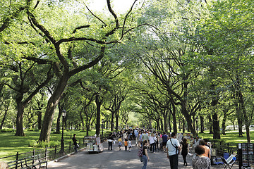 Image showing Central Park