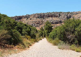 Image showing Outdoor road between two rows of bushes toward gray and orange rocks