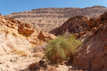 Image showing Scenic desert canyon