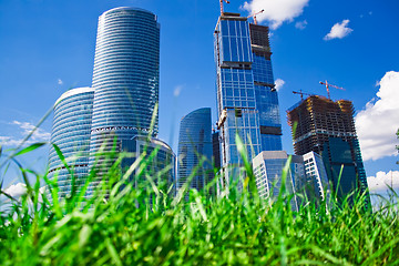Image showing Skyscrapers and grass