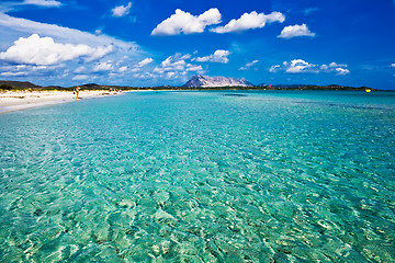 Image showing Sardinian Beach