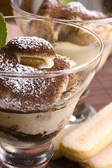 Image showing Tiramisu Dessert 