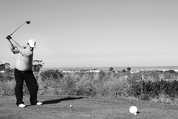 Image showing Golfer #59