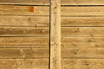 Image showing Background of wooden plank wall and lot turn nails 